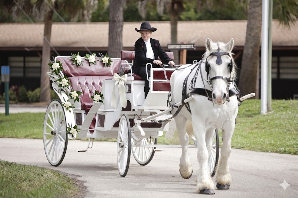 Traditional decorated horse cart